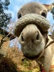 2013-01-10 08.36.59.jpg
