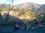 2013-01-11 08.04.33.jpg