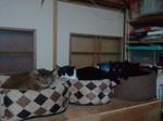 2013-01-11 17.52.14.jpg