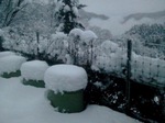 2013-01-14 16.57.17.jpg