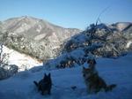 2013-01-15 09.00.29.jpg