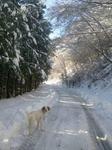2013-01-15 09.02.54.jpg