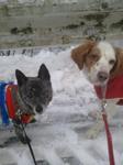 2013-01-16 08.00.01.jpg