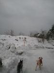 2013-01-16 08.06.16.jpg