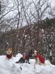 2013-01-16 08.26.47.jpg
