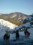 2013-01-17 08.03.14.jpg