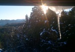 2013-01-18 07.56.47.jpg