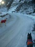 2013-01-19 07.51.16.jpg