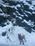 2013-01-20 11.03.58.jpg