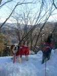 2013-01-20 11.23.06.jpg