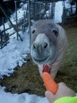 2013-01-20 16.11.16.jpg