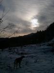 2013-01-21 08.12.53.jpg