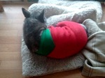 2013-01-22 16.35.18.jpg