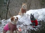 2013-01-24 08.29.51.jpg