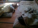 2013-01-24 12.00.34.jpg