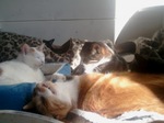 2013-01-24 12.01.25.jpg