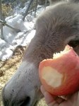 2013-01-24 13.14.44.jpg