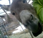 2013-01-26 15.29.58.jpg