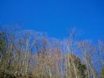 2013-01-27 11.07.16.jpg