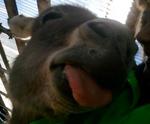 2013-01-27 13.07.35.jpg
