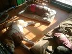 2013-01-28 09.23.02.jpg