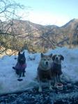2013-01-29 08.27.20.jpg