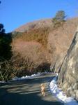 2013-01-29 08.32.17.jpg