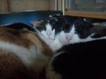 2013-01-29 19.19.48.jpg