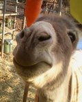 2013-01-30 07.28.55.jpg