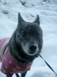 2013-01-30 08.06.25.jpg