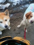 2013-02-09 08.11.33.jpg