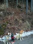 2013-02-09 08.31.50.jpg