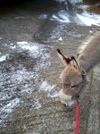 2013-02-09 08.58.32.jpg