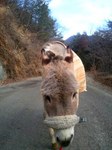 2013-02-09 09.22.51.jpg