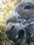 2013-02-25 09.39.02.jpg