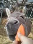 2013-02-28 08.50.29.jpg