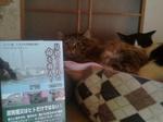 2013-03-01 12.19.02.jpg