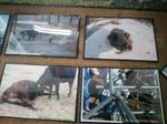2013-03-09 13.56.58.jpg