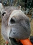 2013-03-15 08.48.10.jpg