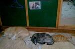 2013-03-18 20.33.46.jpg