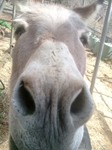 2013-03-19 09.58.34.jpg
