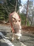 2013-03-19 10.26.04.jpg