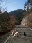 2013-03-20 08.46.23.jpg