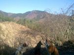 2013-03-21 08.15.50.jpg