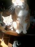 2013-03-21 09.09.45.jpg