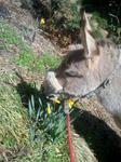 2013-03-21 09.21.42.jpg