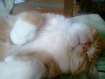 2013-03-21 10.18.22.jpg
