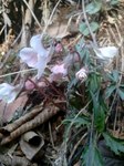 2013-03-23 08.15.19.jpg
