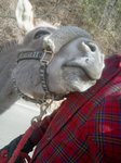 2013-03-23 09.06.54.jpg