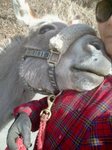 2013-03-23 09.06.58.jpg